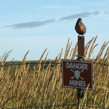 The minefield of KYC compliance