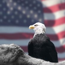 Am I a US person? The known unknowns of who’s who for Dodd-Frank OTC