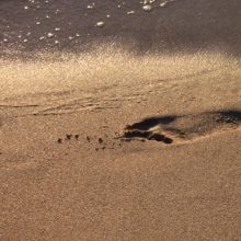 Conduct risk – controlling Bigfoot?