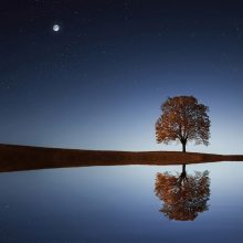 RegRoundup 4 April: the pursuit of clarity