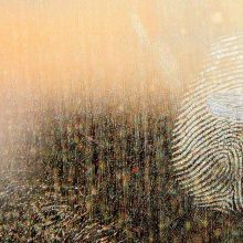 Regulators’ EMIR derivatives trading, MIFID II transaction data unlikely to be yielding insights required in crisis; Change needed