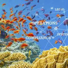 The RegTech ecosystem: in depth analysis (part 3 of 3)
