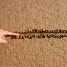 CFTC stands by its line in the sand today: Expect minor adjustments, not wholesale delay