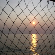 The ‘Super Tuesday’ safety net