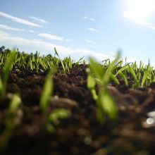 RegTech: the seeds of revolution are sewn