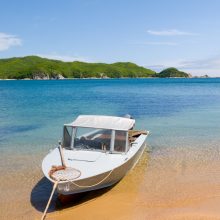 Floating NAV sinks in: Responses highlight concerns for SEC MMF proposals