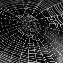 The UK puts one foot forward in the battle for more transparency on beneficial ownership