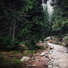 The collaborative path through the RegTech and FinTech jungles