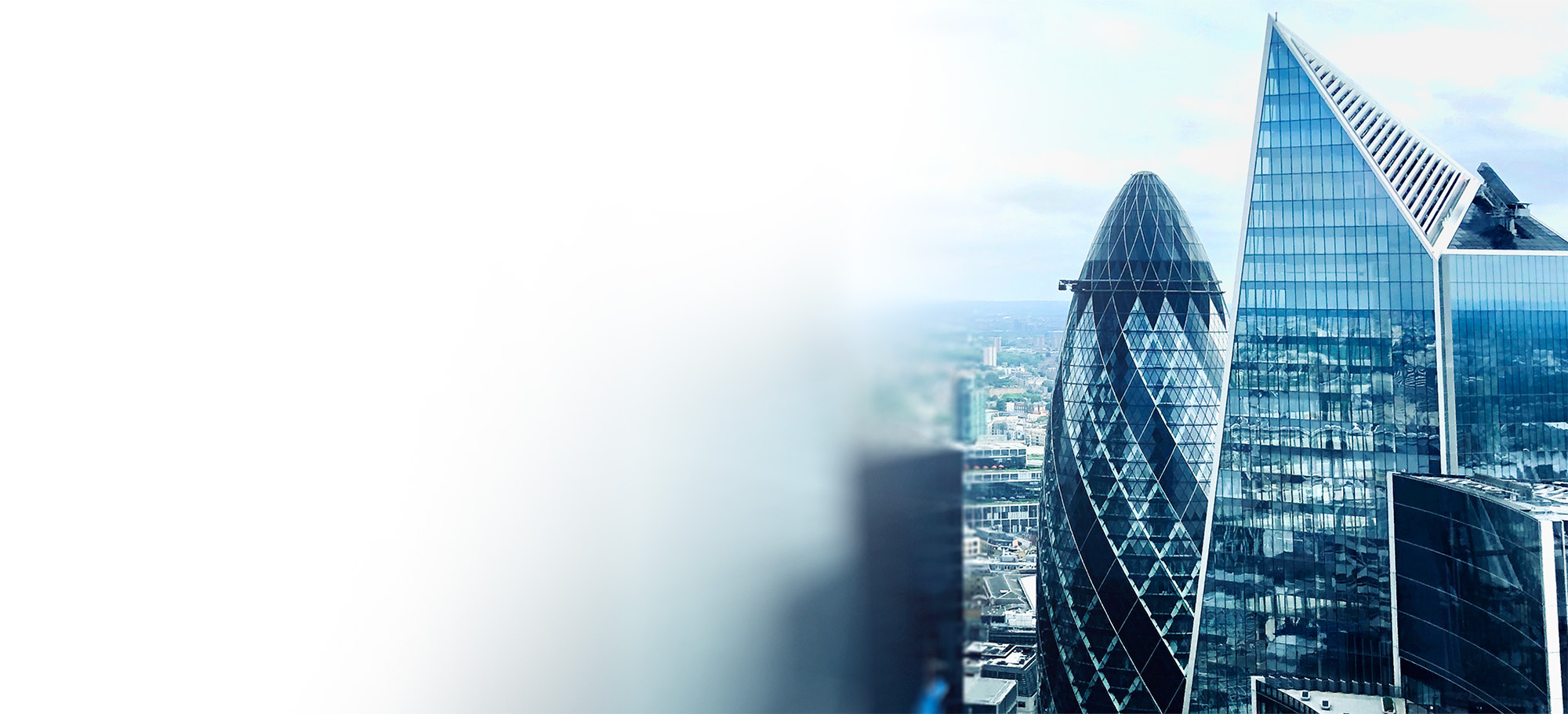 RegRisk legal solutions-contact